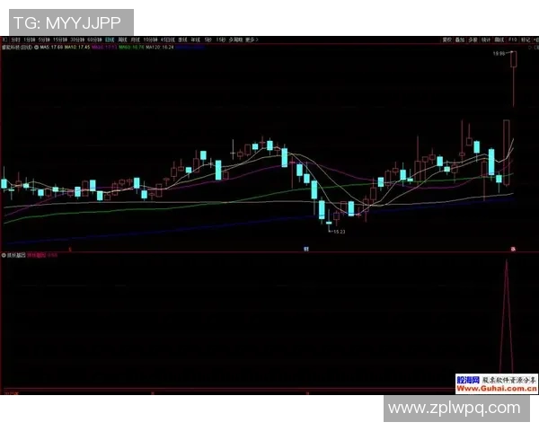 广州篮球队在钻石联赛中的强势表现与未来发展潜力分析